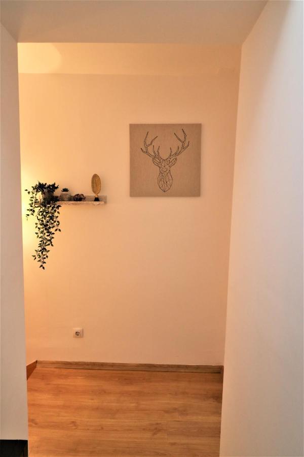 Cozy Old Town Apartment - Free Minibar Bucarest Extérieur photo